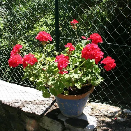 Corte Dei Galli Bed & Breakfast Sesto Fiorentino