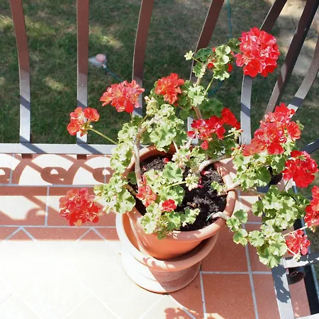Bed and Breakfast Corte Dei Galli